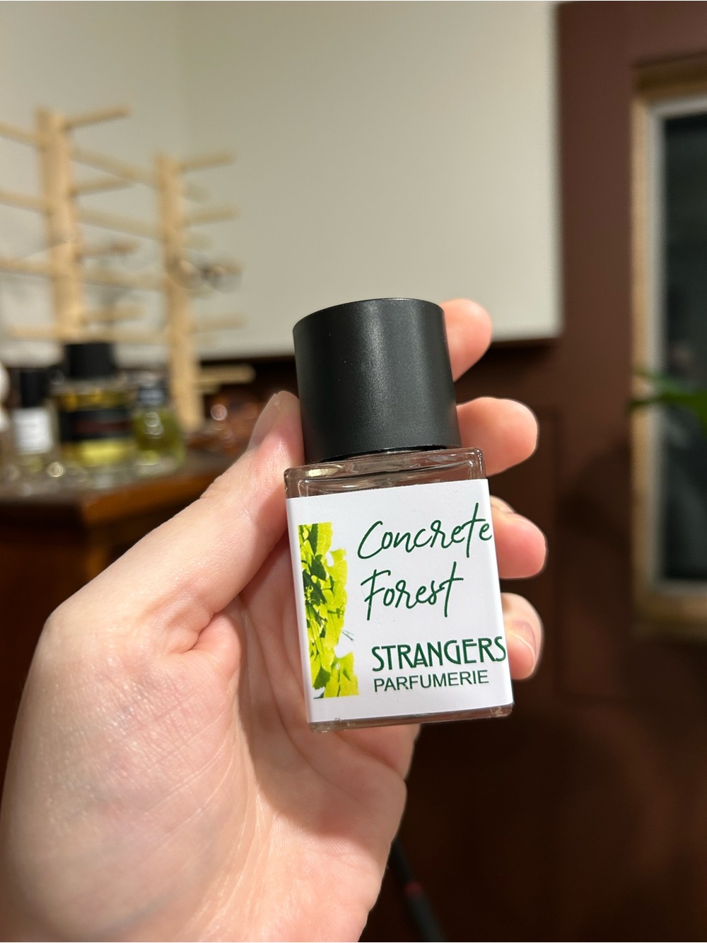 Concrete Forest by Strangers Parfumerie 30 ml